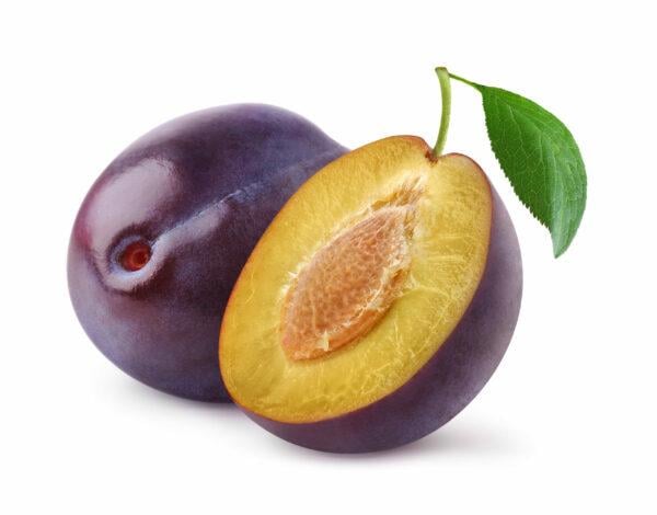 Pflaume "Königin Viktoria"