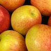 Apfel "Cox Orange"