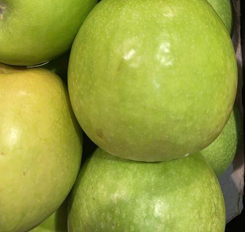 Apfel "Grahams Jubiläumsapfel" - Terrassenobst