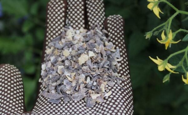 5Kg Hornspäne/Biodünger für sämtliche Gartenkulturen
