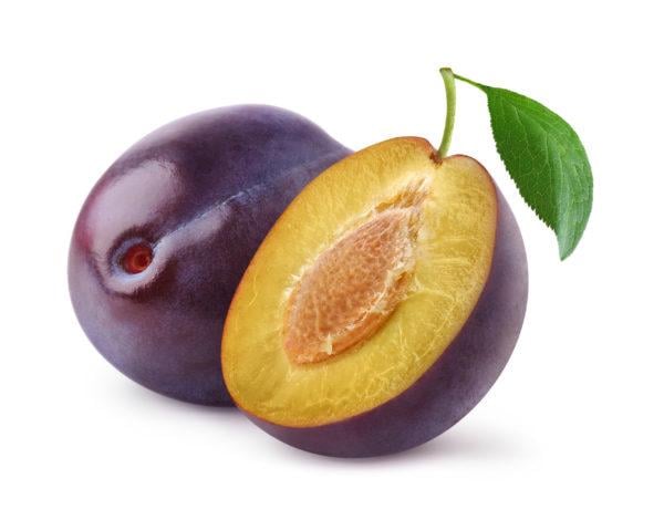 Pflaume "Herman"