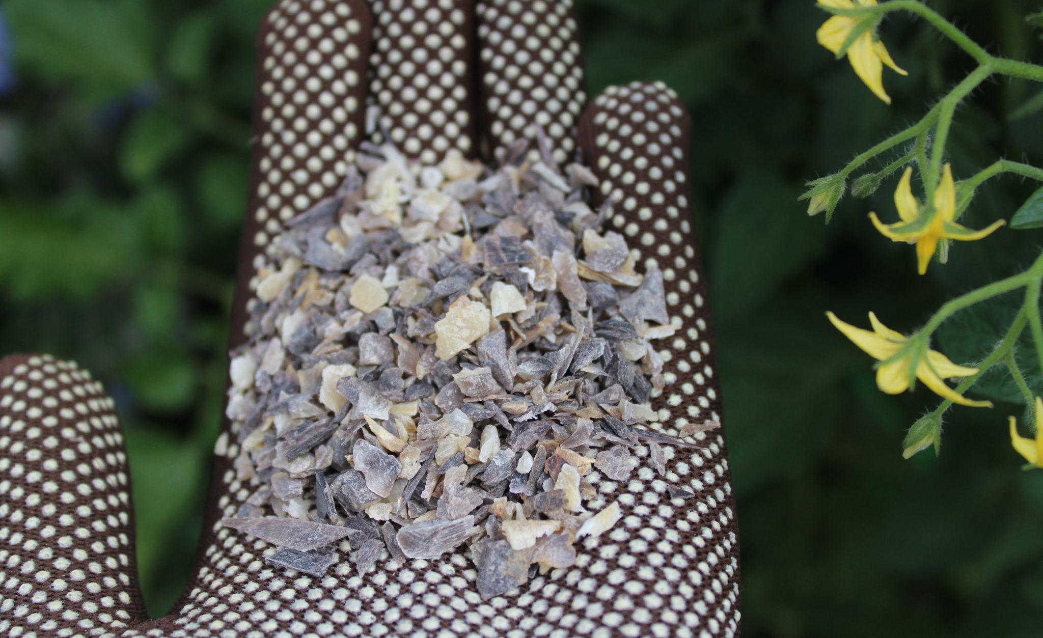 5Kg Hornspäne/Biodünger für sämtliche Gartenkulturen Jetzt online kaufen!